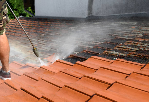 Best Roof Pressure Washing  in Citronelle, AL